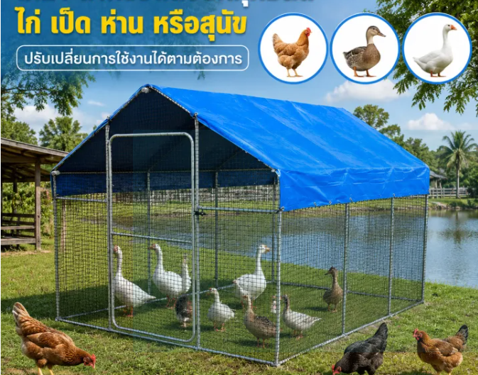 กรงไก่กลางแจ้ง โรงเรือนเลี้ยงไก่กลางแจ้ง ขนาดใหญ่ กันฝน กันแดด พร้อมหลังคา โครงเหล็ก
